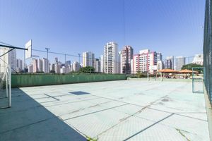 Image 31 - 331796