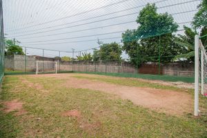 Image 3 - 50466