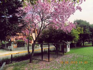 Image 46 - 819887