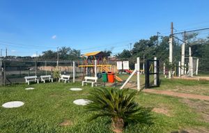 Image 9 - 305283