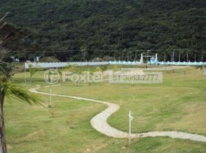 Image 7 - 106885