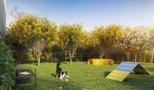 Image 8 - 871084