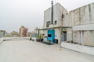Image 41 - 877466
