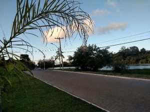 Image 9 - 207770