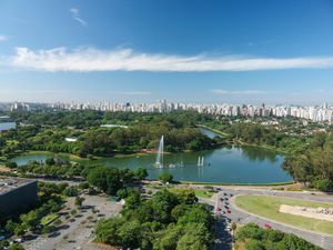 Image 16 - 55020