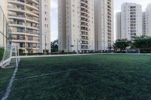 Image 46 - 871810