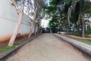 Image 70 - 871810