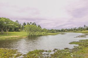 Image 3 - 159701