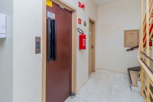 Image 41 - 311686