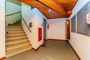 Image 4 - 591