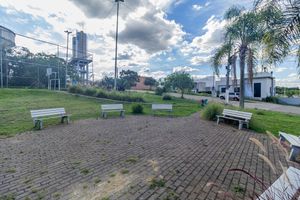 Image 9 - 254565