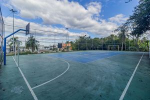 Image 11 - 254565