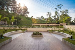 Image 13 - 60814