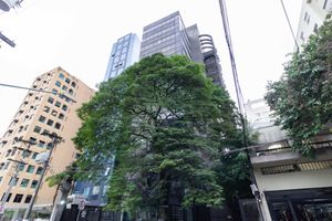 Image 19 - 882444