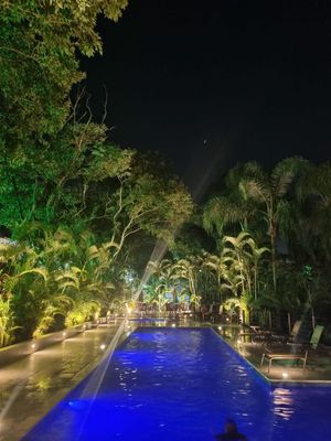 Image 38 - 885706