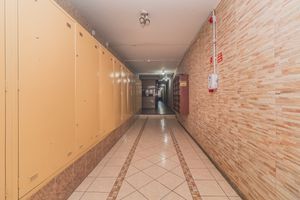 Image 22 - 884821