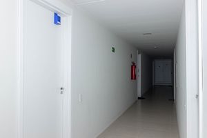 Image 15 - 894436