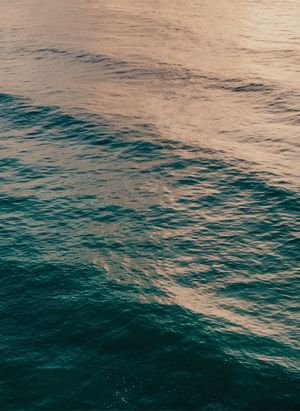 Image 28 - 821226