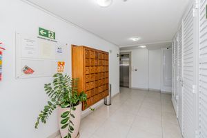 Image 37 - 305810