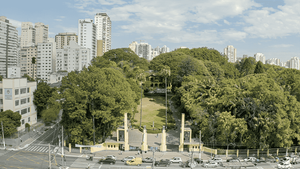 Image 41 - 76356