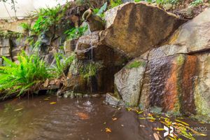 Image 8 - 8225