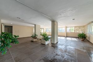 Image 28 - 222542
