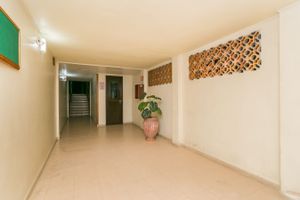 Image 10 - 883066