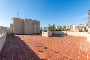 Image 35 - 888651