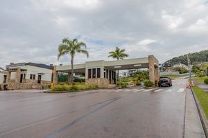 Image 104 - 220190