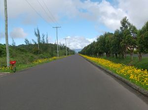 Image 1 - 100579
