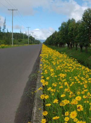 Image 2 - 100579