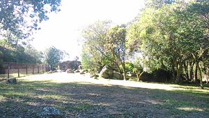 Image 5 - 100684