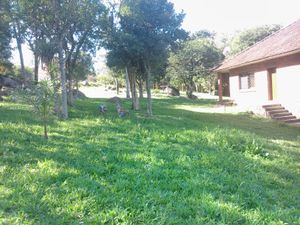 Image 7 - 100684