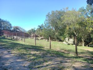 Image 11 - 100684