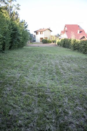 Image 43 - 100939