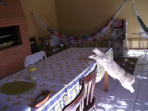Image 5 - 101464