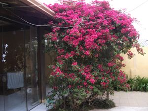 Image 4 - 101464
