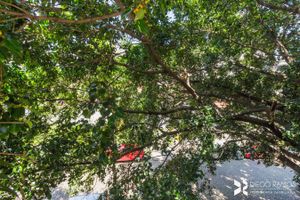 Image 16 - 101641