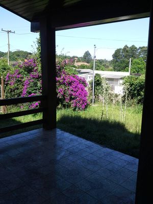Image 4 - 102364