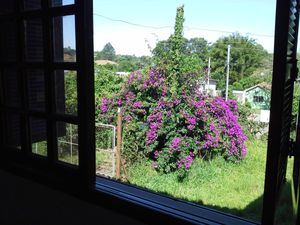 Image 3 - 102364