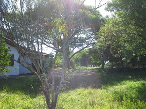 Image 14 - 102364