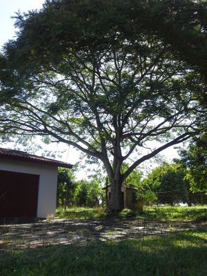 Image 15 - 102364