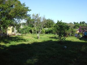 Image 13 - 102364