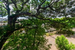 Image 13 - 102420