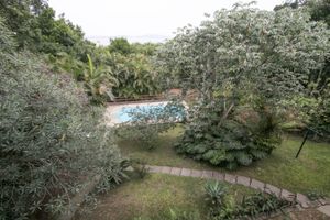 Image 10 - 102431
