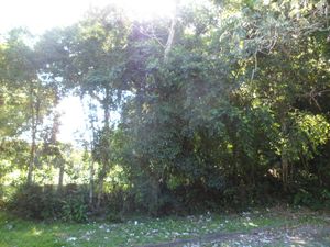 Image 7 - 102708