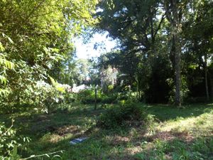 Image 3 - 102708