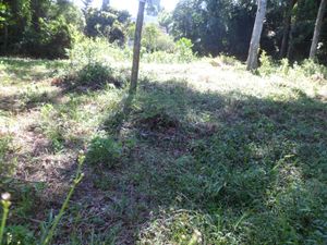 Image 2 - 102708