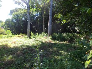 Image 4 - 102708