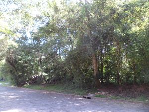Image 5 - 102708